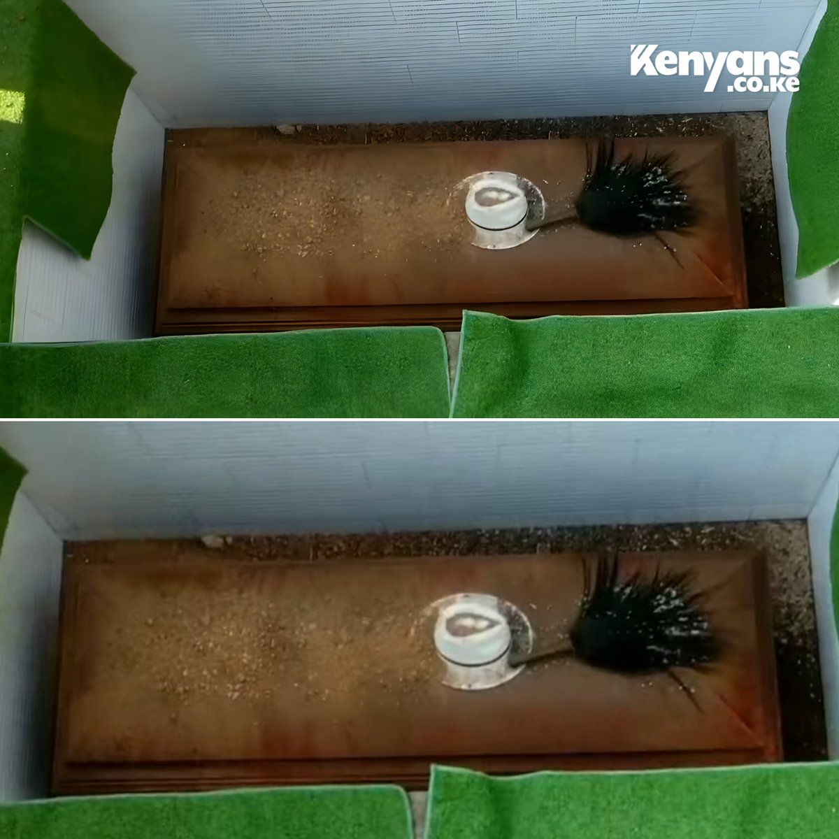 Raila Odinga buried with his hat and traditional whisk