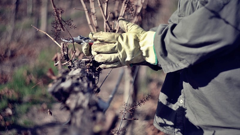 ESCALA SALARIAL OBRERO DE VIÑA SEPTIEMBRE DE 2025 - FEBRERO 2026 avm.org.ar/storage/2025/1…