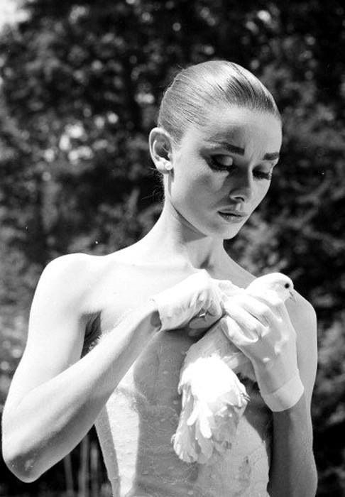 joanna333375101's tweet photo. 🎯🎯🎯
“There is a science of war, but how strange that there isn’t a science of peace.
There are colleges of war; why can’t we study peace?”
- Audrey Hepburn.
#AudreyHepburnWisdom #ScienceOfPeace
#PeaceOverWar #MakePeacePossible #HumanityFirst
#WisdomOfKindness #VoicesForPeace
#PeaceEducation #GlobalCompassion #MindfulHumanity #LightOverDarkness
#ChoosePeace #WorldHarmony #PeacefulMinds
#KindnessRevolution #HopeForHumanity
#LoveIsTheAnswer #UnityThroughPeace
#PeaceBeginsWithin
