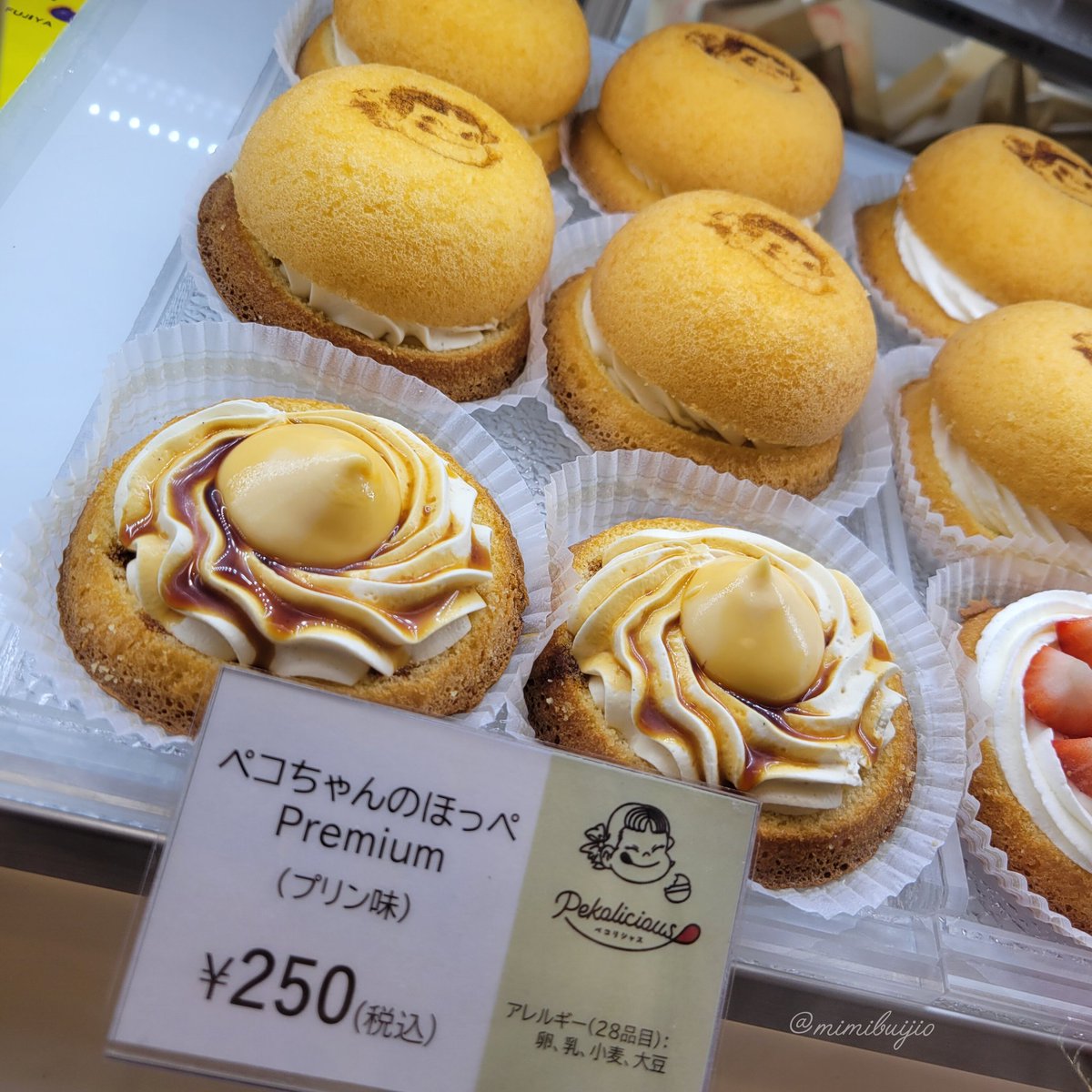 ラッキーバナナページ バナナペーパーフレークシール・絶滅危惧種 シロフクロウ – 小鳥