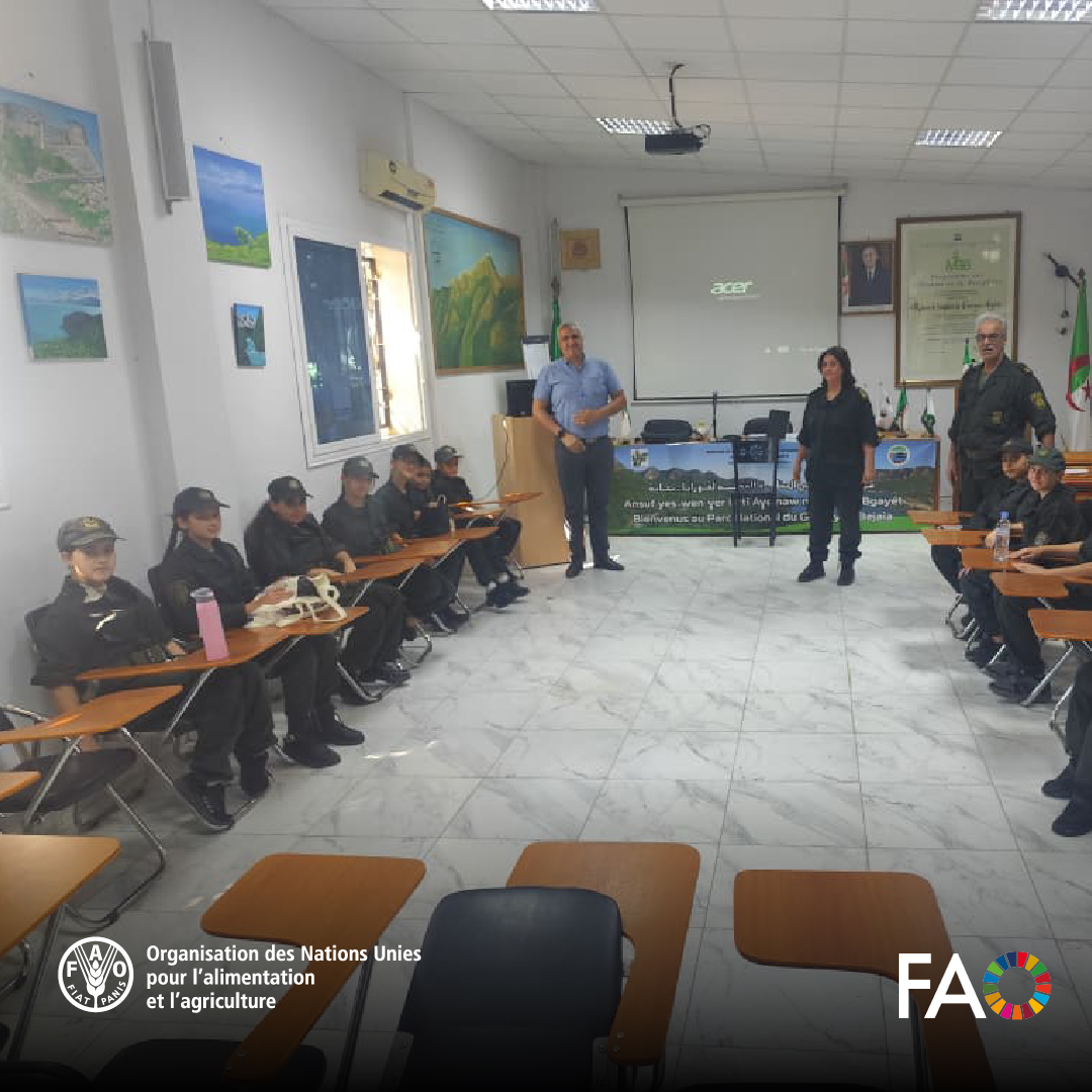 FAOAlgerie's tweet photo. Béjaïa: Le projet Suberaie poursuit la formation sur la domestication des plantes aromatiques et médicinales! Formation de 3 jours des cadres forestiers, associatifs et porteurs de projets sur les techniques de production et de valorisation des #PPAM
https://t.co/fYQZhX0oQ1 https://t.co/q1ClTn2kv3