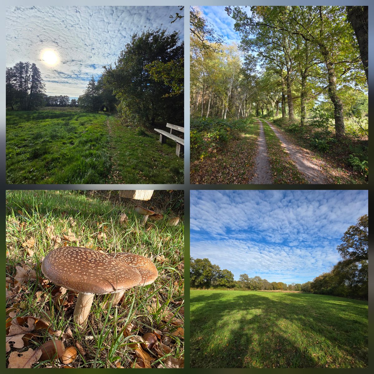 Sylvia Westerhuis tweet media