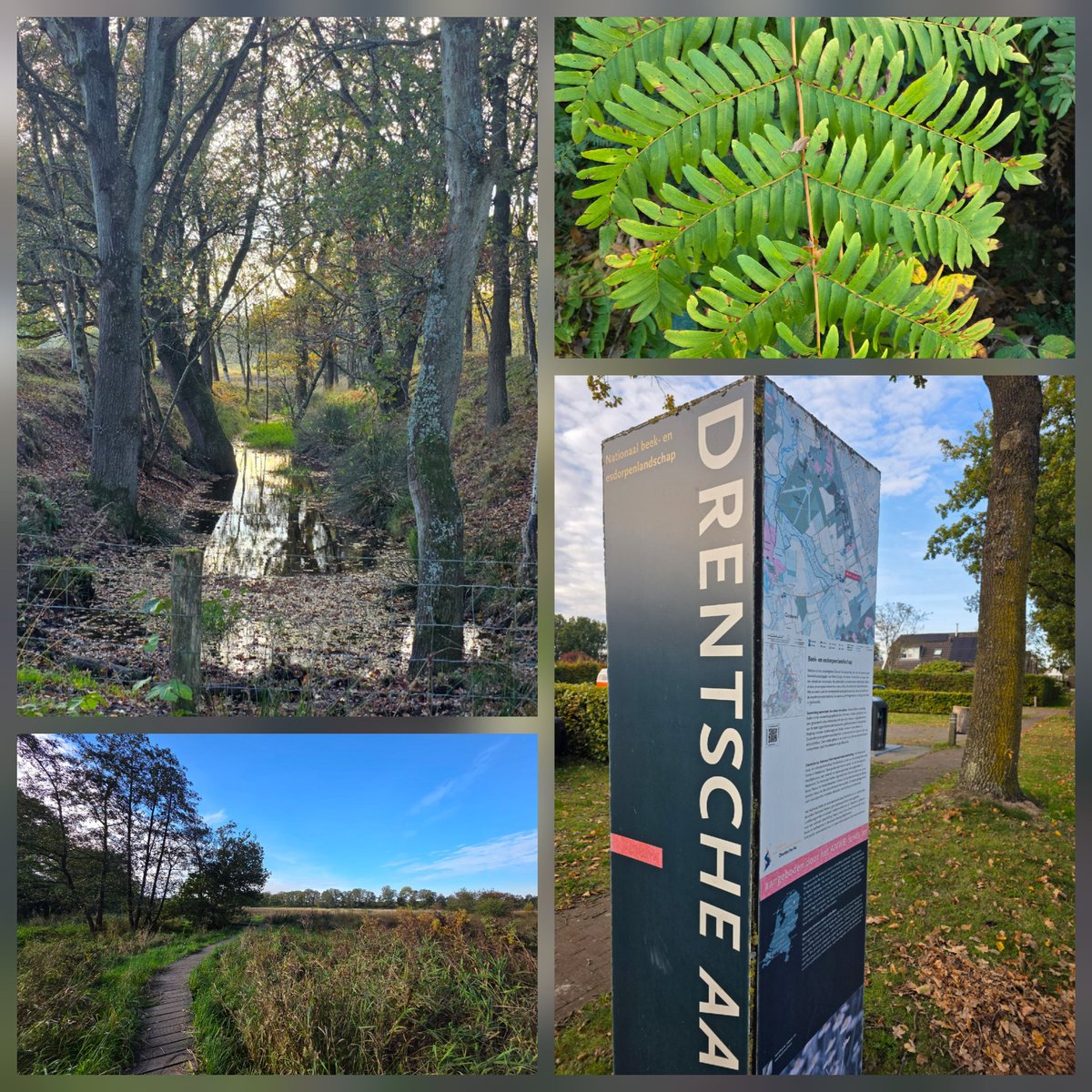 Sylvia Westerhuis tweet media