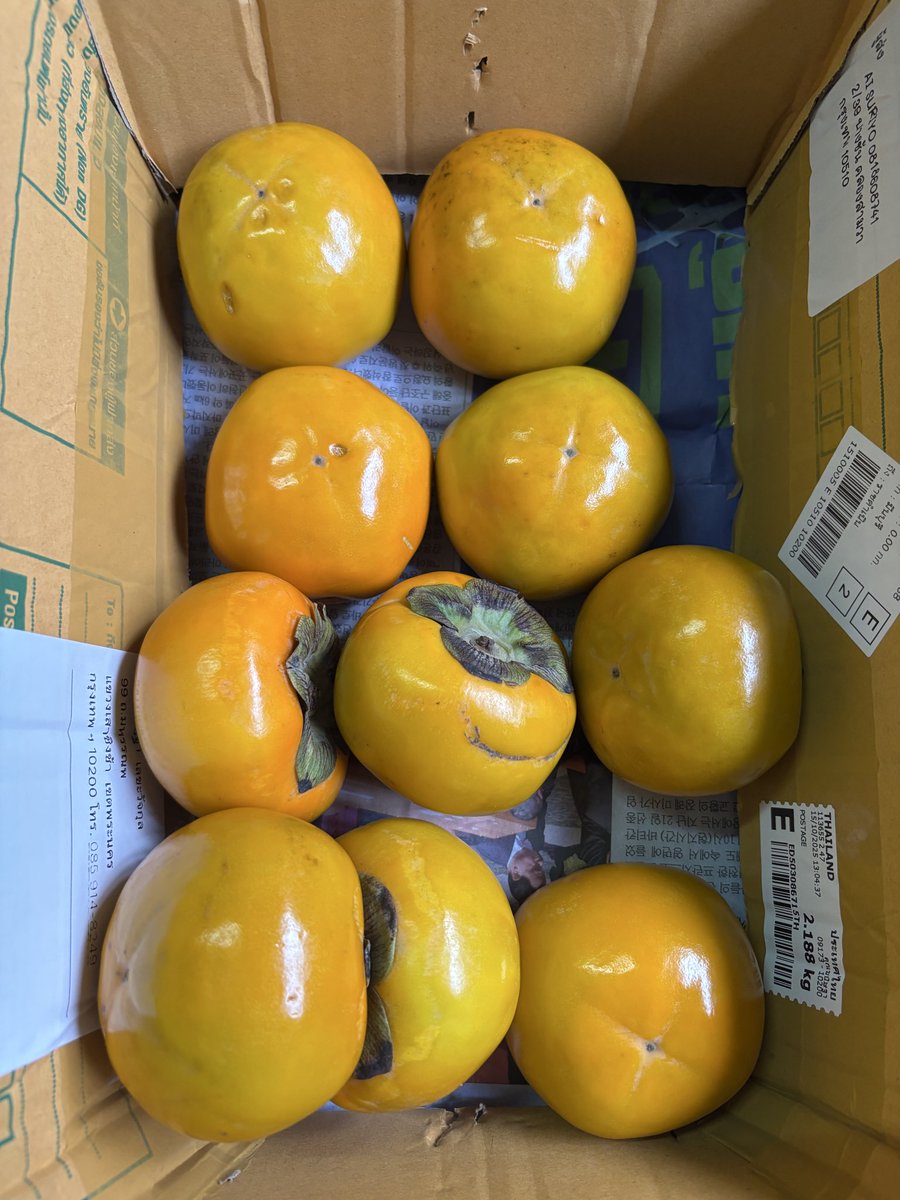 ได้รับของแล้ว ลูกใหญ่ดี  ตอนนี้รอบ่ม อยากทานแบบนิ่มๆ  ส่งของเร็วดีค่ะ #แกะกล่องคาร์โก้1004