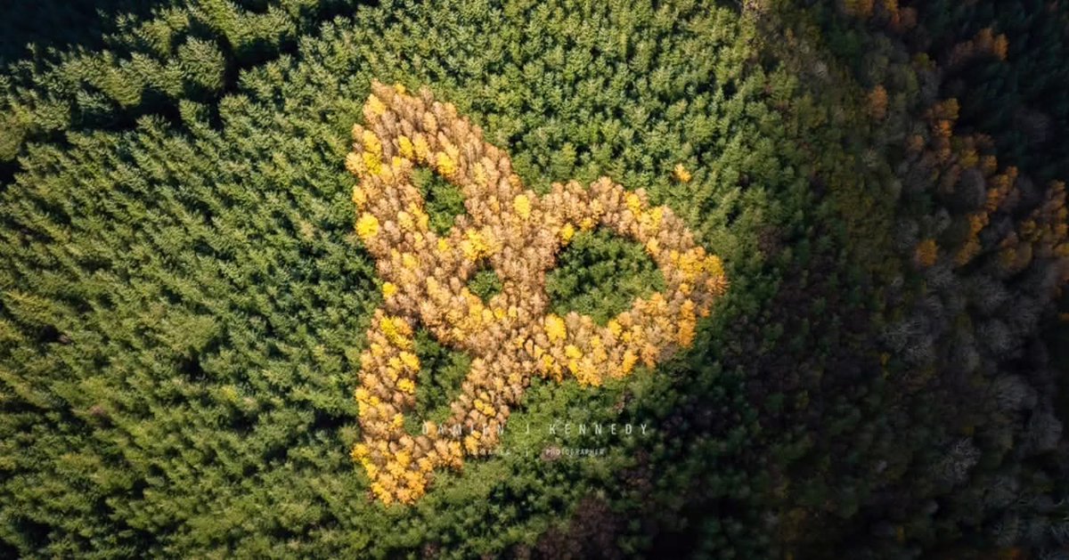 ThisIsIreland3's tweet photo. Celtic Trinity Knot, secret garden in Sligo ☘️ 🇮🇪
📸 Damien J Kennedy
#Celtic #TrinityKnot #Sligo #Ireland #Garden #Forest https://t.co/1oa6XkAQPw