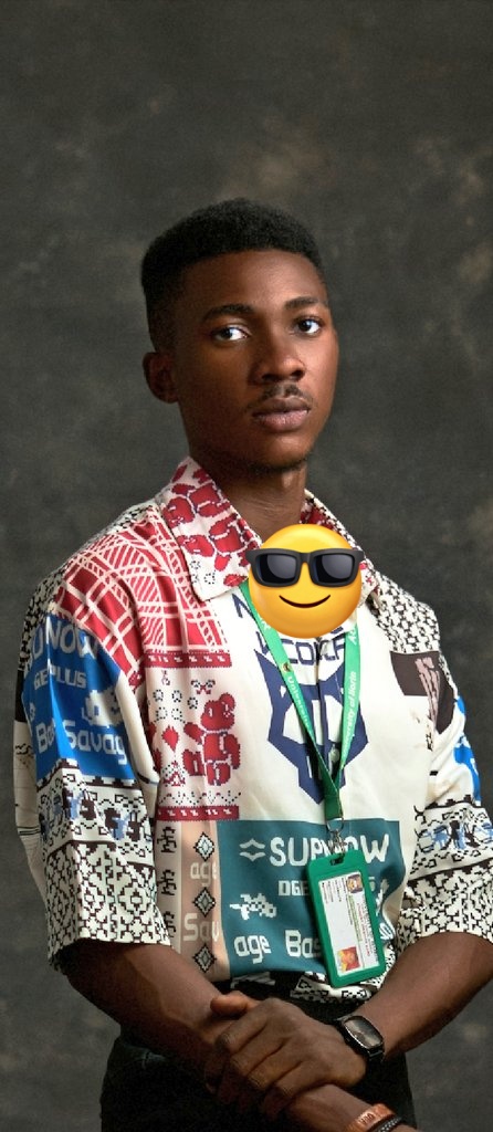 Name………….. Sen. Phoenix 
Age……………… Mid 20's
State…………… Kwara State 
Genotype……. AA
Blood group… A+
Occupation…. Professional Cleaner, Pall bearer(other funeral care services), Driver, PR, Politician, General legal jamajama