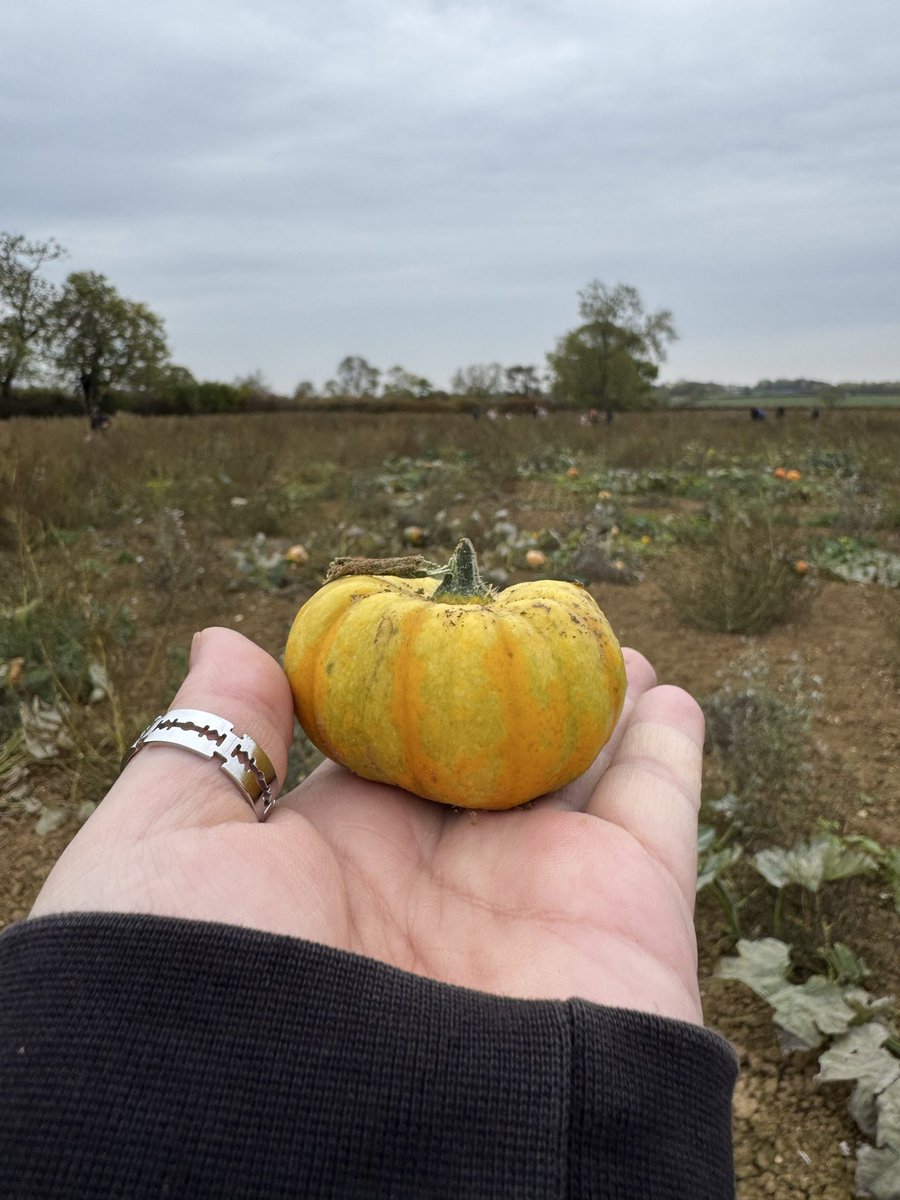 Yearly tradition of finding the tiniest pumpkin ✅