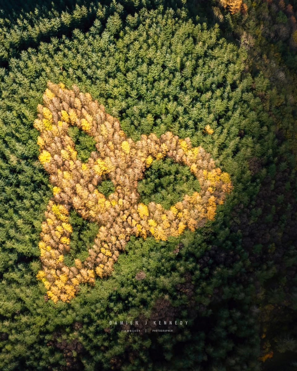 ThisIsIreland3's tweet photo. Celtic Trinity Knot, secret garden in Sligo ☘️ 🇮🇪
📸 Damien J Kennedy
#Celtic #TrinityKnot #Sligo #Ireland #Garden #Forest https://t.co/1oa6XkAQPw