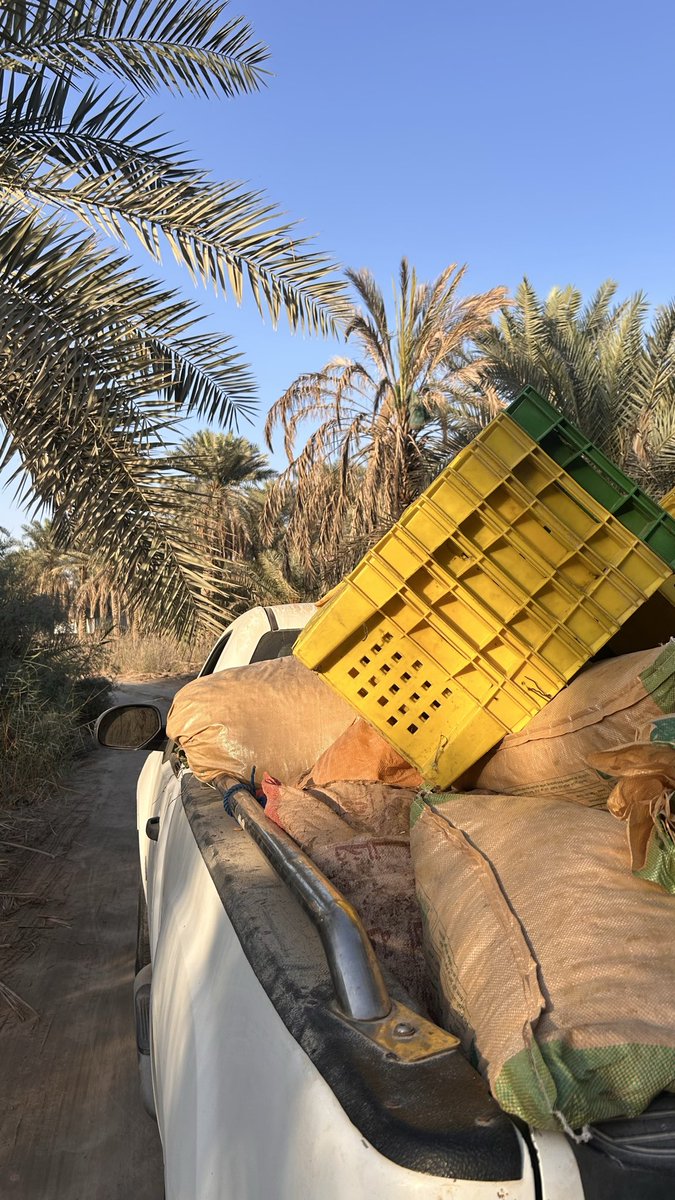 هذي اصدق عشوائيات انزلها بحسابي
