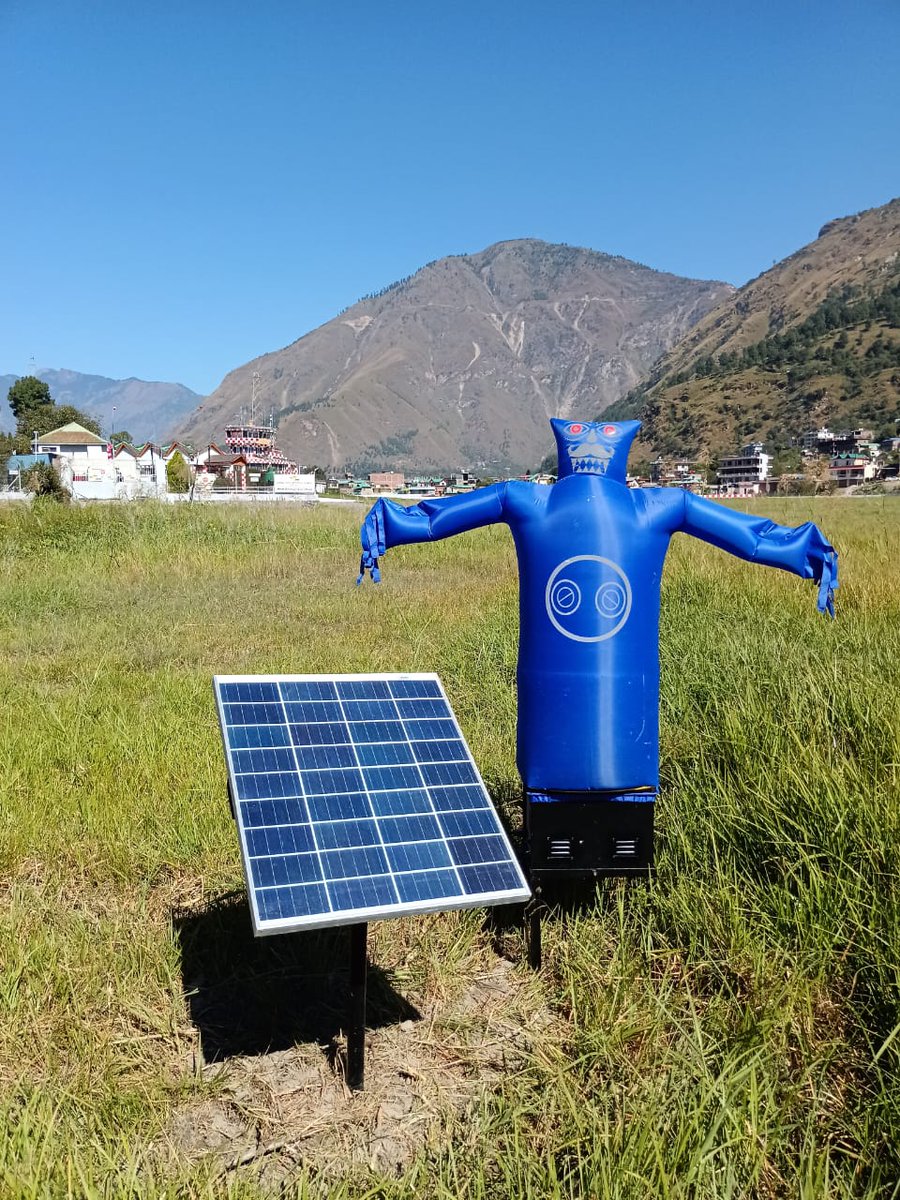 aaikmbairport's tweet image. 🛫 एयरपोर्ट ऑपरेशन एरिया में सुरक्षा एवं पक्षी नियंत्रण पहल
दिनांक 10 अक्टूबर 2025 को कुल्लू मनाली हवाईअड्डे के ऑपरेशन एरिया में Scare Crow एवं Scare Crow Sound System स्थापित किए गए।
#AirportSafety #BirdControl #ScareCrowSystem #OperationalExcellence #SafeSkies