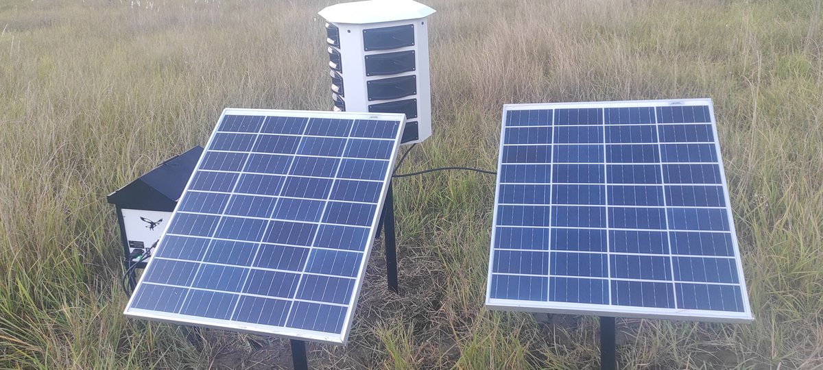 aaikmbairport's tweet image. 🛫 एयरपोर्ट ऑपरेशन एरिया में सुरक्षा एवं पक्षी नियंत्रण पहल
दिनांक 10 अक्टूबर 2025 को कुल्लू मनाली हवाईअड्डे के ऑपरेशन एरिया में Scare Crow एवं Scare Crow Sound System स्थापित किए गए।
#AirportSafety #BirdControl #ScareCrowSystem #OperationalExcellence #SafeSkies