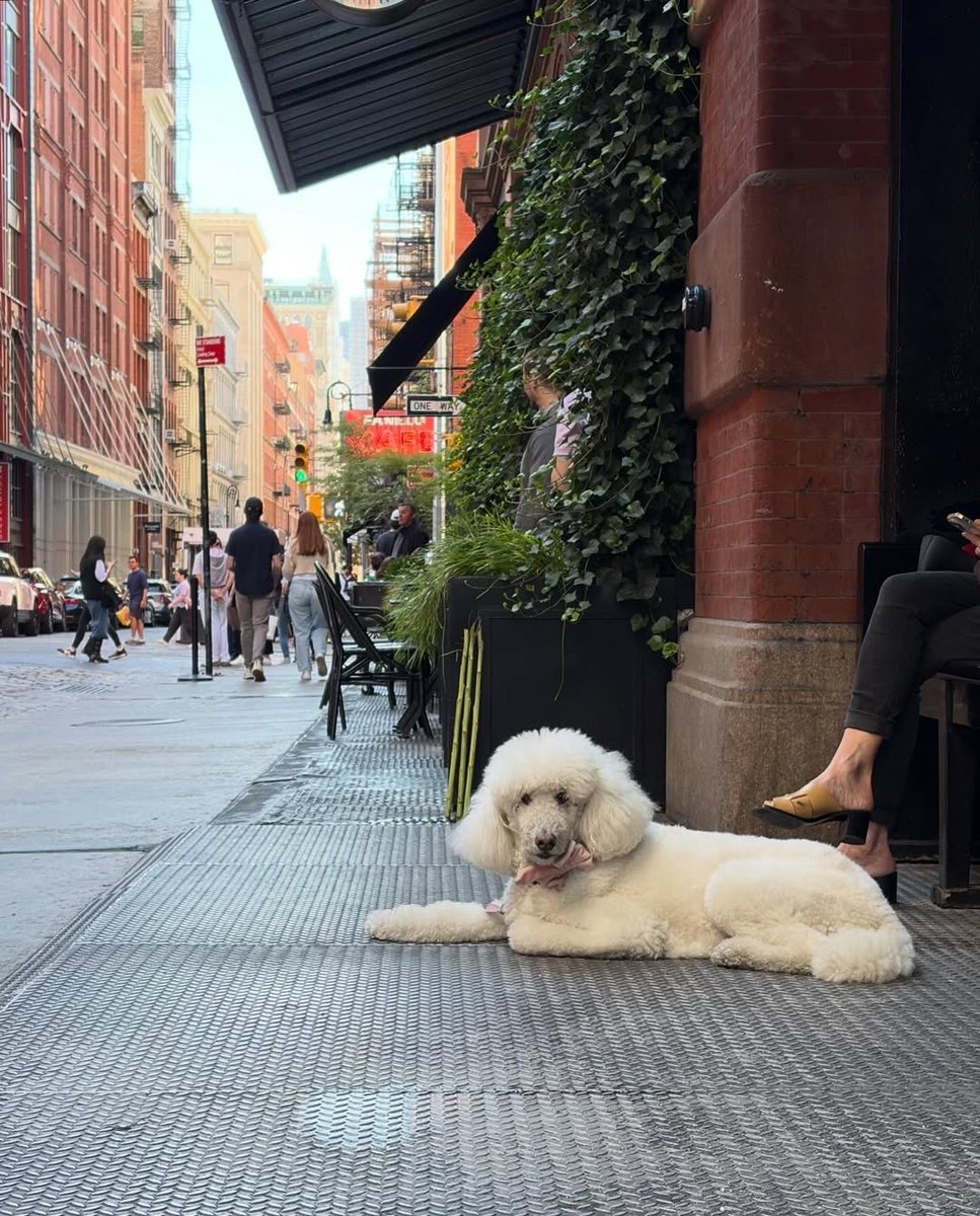 StoreSmartzone's tweet image. New York city 🇺🇸  
shot on iPhone Air