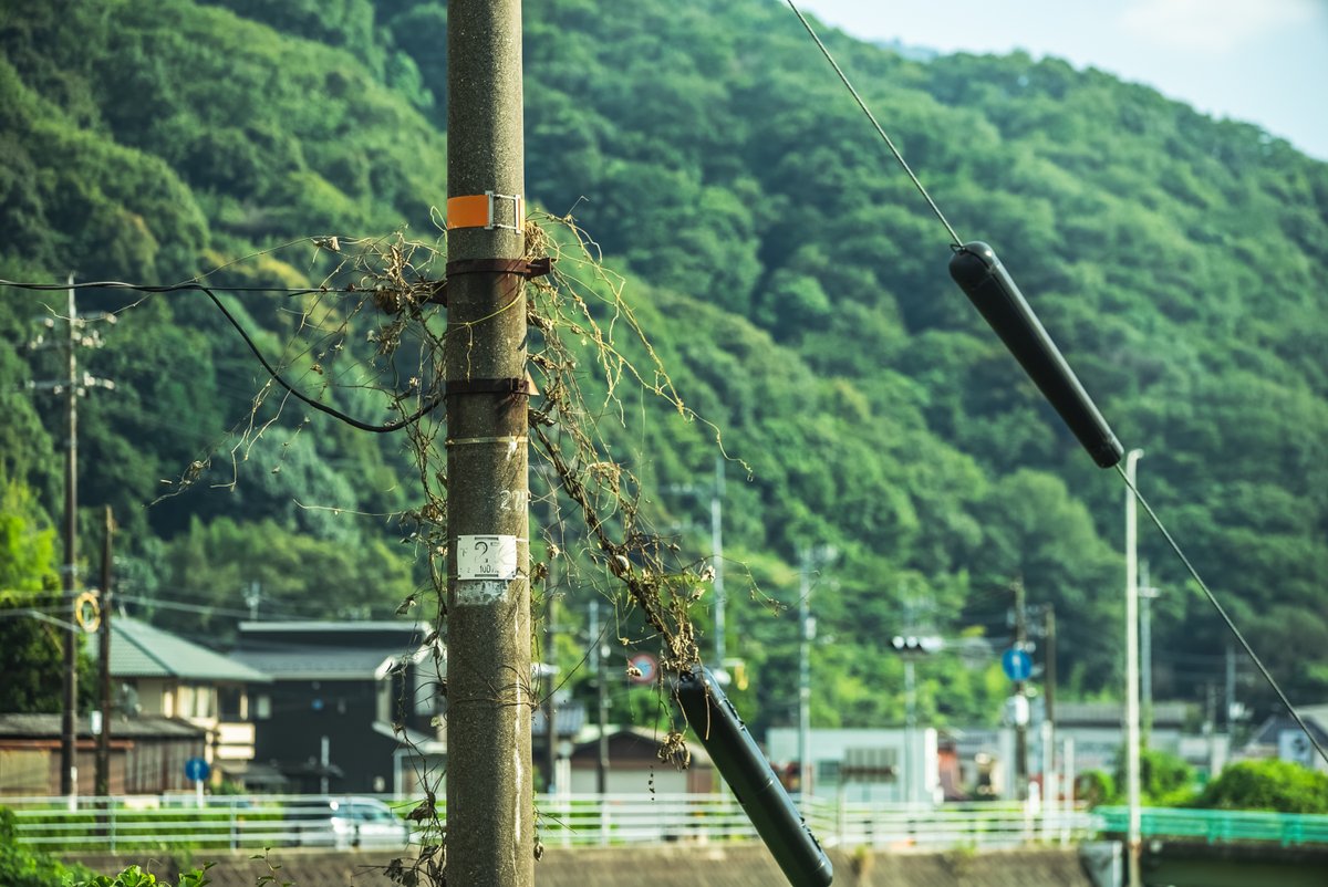 TakeuchiMasaru's tweet photo. 広島市安芸区中野の風景 https://t.co/GlhEAfOIhg