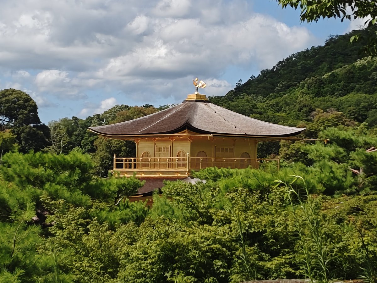 我从来没爱过，所以爱错