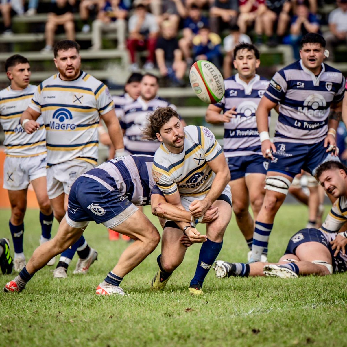 Tomas Gray tweet media