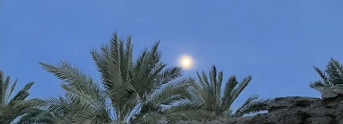 «وخير ما أوتي المرء بعد دينٌ و عقلٍ راجح : خُلُق رضيٌّ، وأدب وضيٌّ، وذكاءٌ في جَنانه، وفصاحةٌ في لسانه»