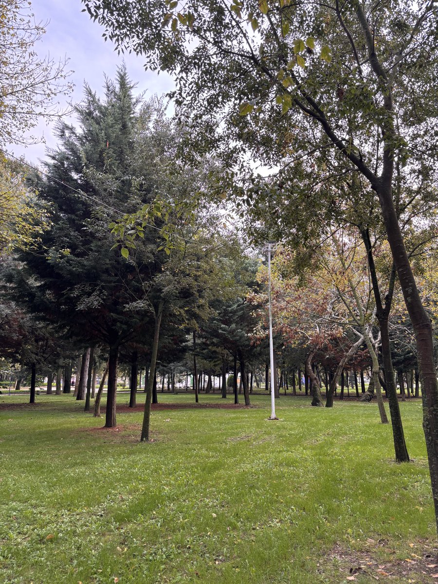 asyeeyl's tweet photo. Hayatı yaşanabilir kılan anlar hamd. https://t.co/HjzA87oAwq