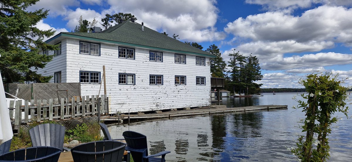 David Randell 🇨🇦 & 🇮🇪 tweet media