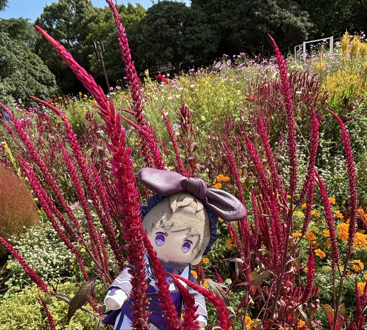 めろん@音也瑛二デュオ祈願 tweet media