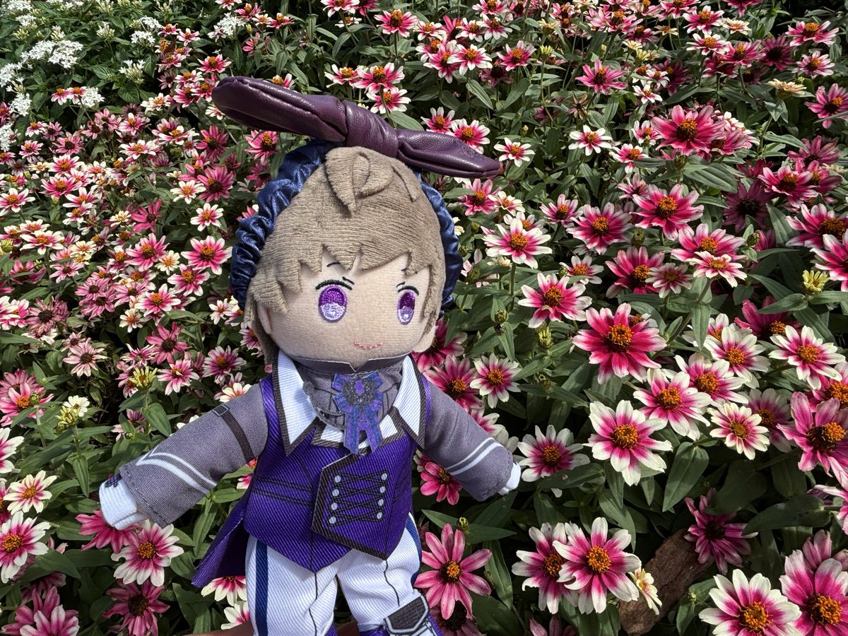 めろん@音也瑛二デュオ祈願 tweet media