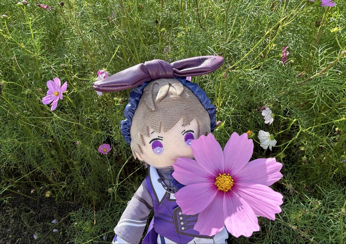 めろん@音也瑛二デュオ祈願 tweet media