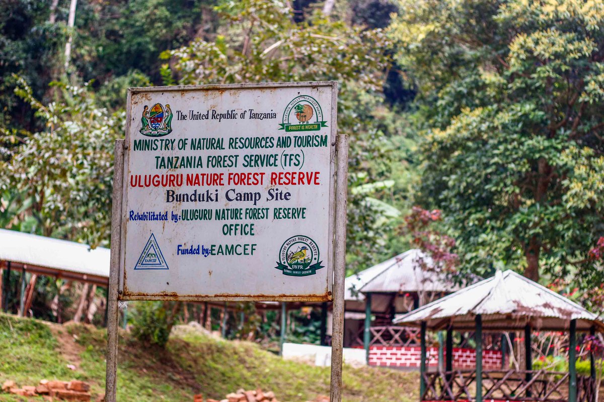 EAMCEF Tanzania tweet media
