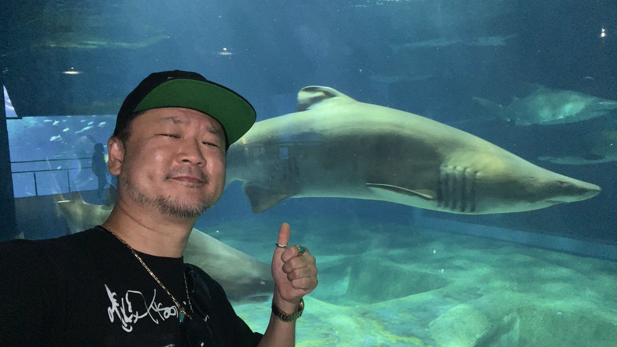 OSAMU_READREAD's tweet image. 弾丸大洗ツアー🐟
#茨城県
#大洗
#アクアワールド茨城県大洗水族館
#めんたいパーク大洗