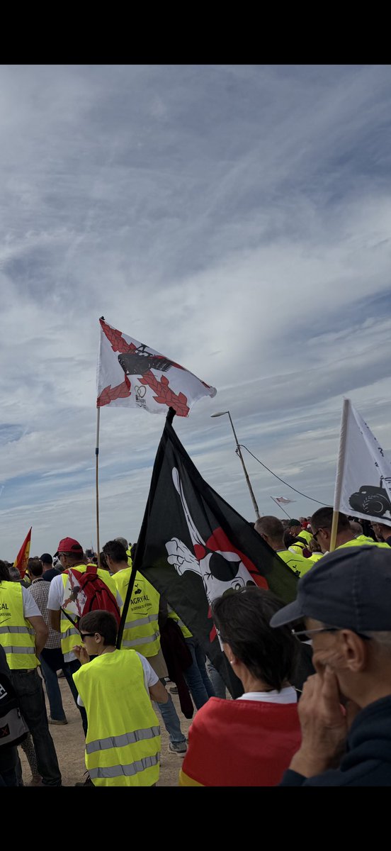 Gracias a <a href="/gelesrosado/">Mª Ángeles Rosado Peinado 🇪🇦</a> y a toda la gente de UNASPI por el homenaje rendido esta mañana en Chinchón  a David Lafoz, joven agricultor que acabó con su vida harto de defender un sector maltratado por nuestros gobernantes.
Muy refrescante ver como gente esforzada, trabajadora y cuyas