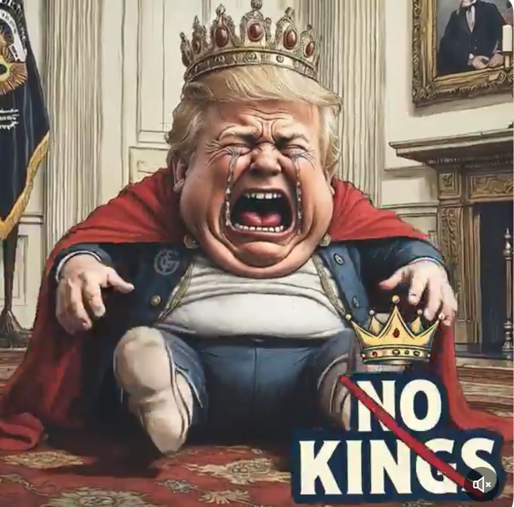 SteveHu90696407's tweet image. 