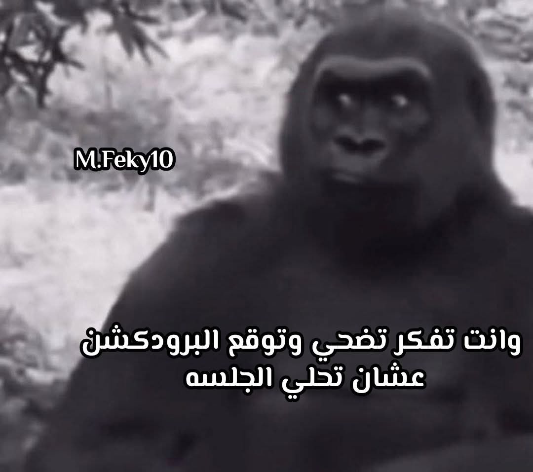 Stoic Madboly (@siiverhorse7) on Twitter photo 