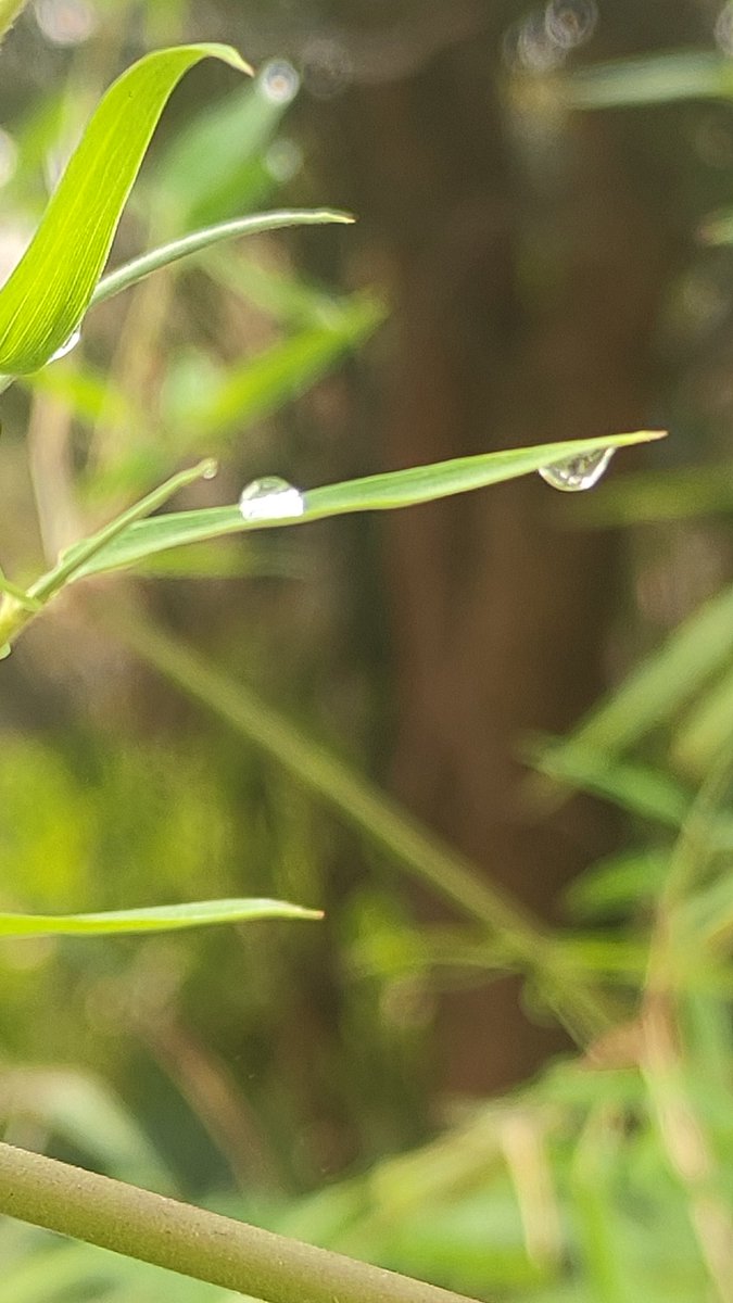 District Panchayat Officer, Siddipet tweet media