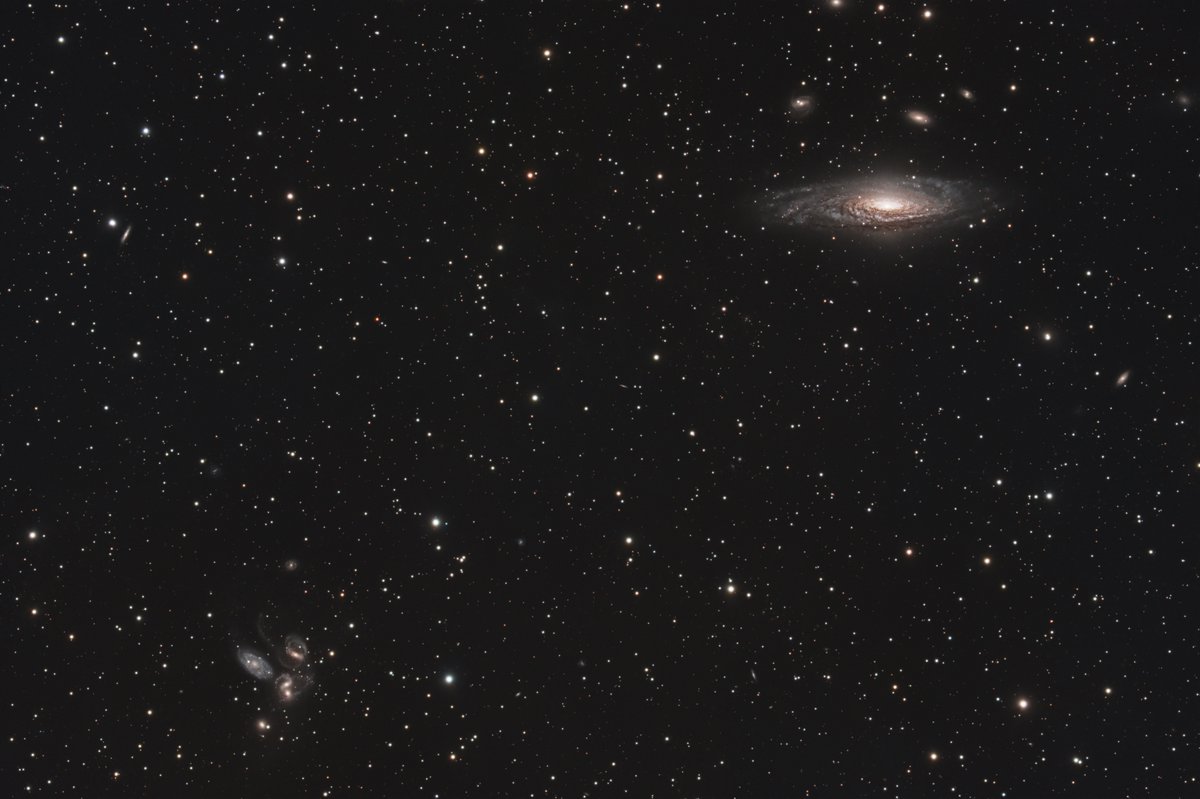 NGC7331 et le quintet de Stephan depuis mon jardin, cette semaine, sur deux nuits. #astrophotography