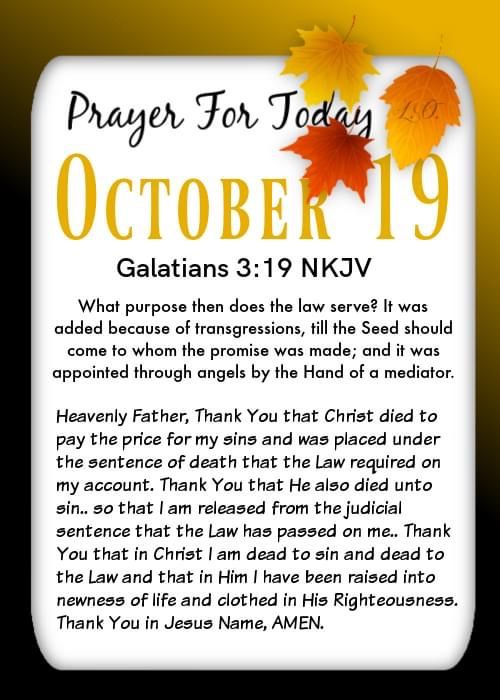 meeka (@foxye2) on Twitter photo 