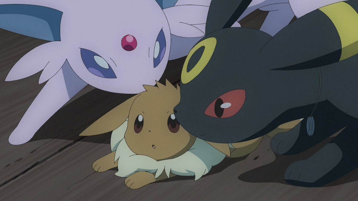 Eevee family ❤️