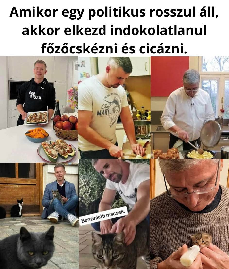 Lipsisimogató plüssbalta tweet media