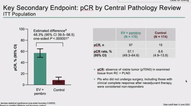OncUpdates's tweet photo. #ESMO25 Highlights! 

#KEYNOTE905: PeriOP EV + Pembro in cis-ineligible MIBC followed by postOP EV + Pembro: 

🎯EFS At 2yrs: 74.7% vs. 39.4%
📈EFS HR: 0.40
✅OS at 2yrs: 79.7% vs. 63.1 (HR: 0.50)

#MedTwitter #OncTwitter #OncTwitter #MedX https://t.co/AGGCJzr6fe