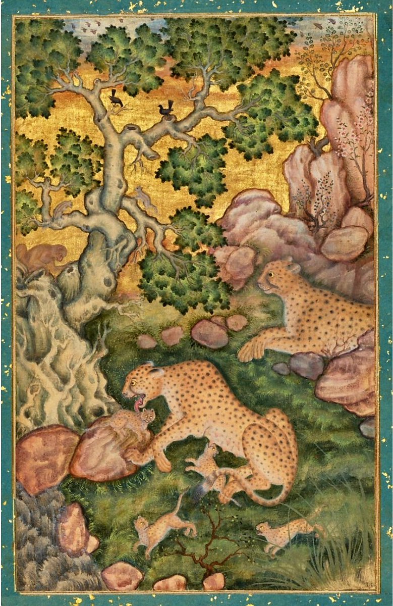 AmitGuha2020's tweet image. Some absolute masterpieces of Mughal, Deccan, and Company schools from the Aga Khan Collection in this @ChristiesInc sale in London.

Like this &apos;Family of Cheetahs&apos; attributed to Basawan (c 1575).