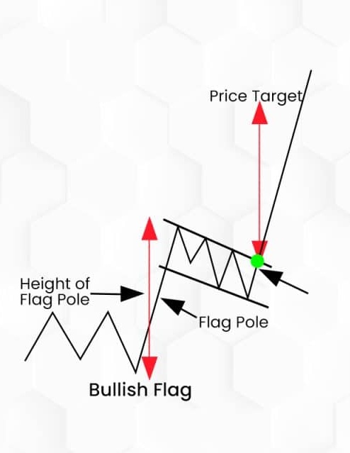 Zer0 🕊️ tweet media