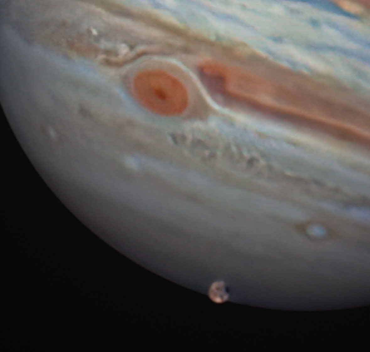 AJamesMcCarthy's tweet image. This is one of my best photos of Jupiter, captured with a 14” scope. See that brown disc on the planets southern limb?
That’s the moon Ganymede. Larger than the planet Mercury and our own moon, it is large enough to be a planet if it weren’t caught in Jupiter’s gravity well.