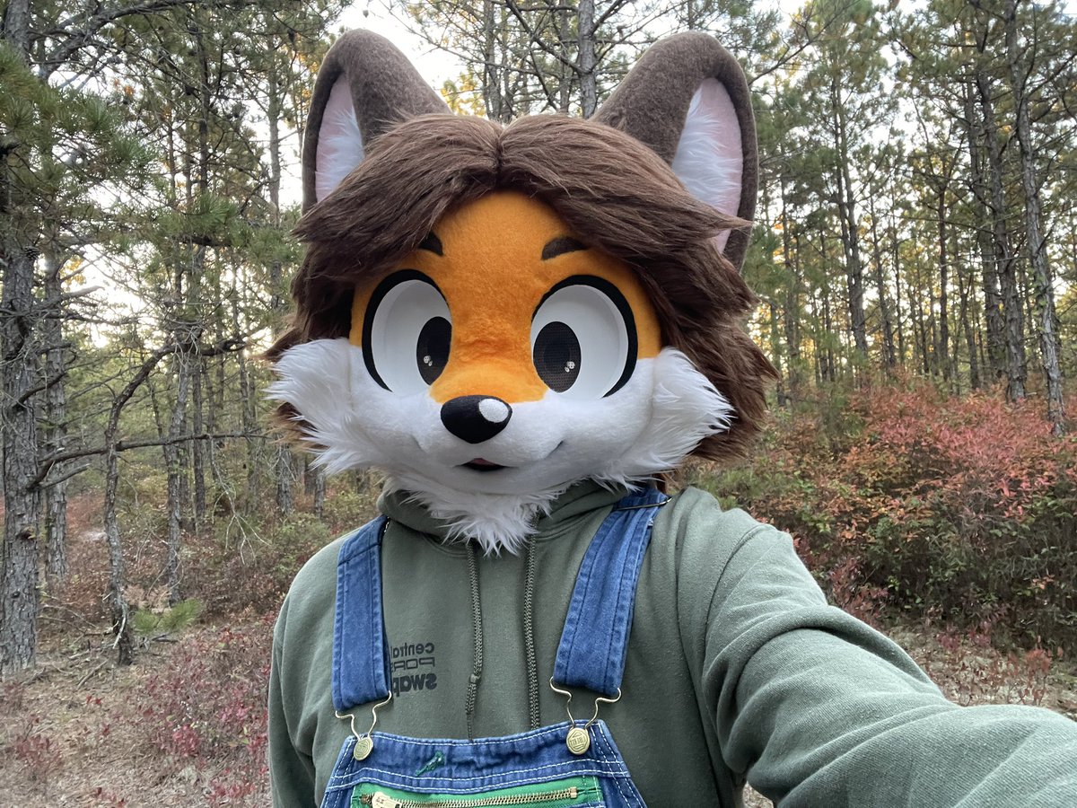 Going for a little hike in the forest! Let’s see what we can find…