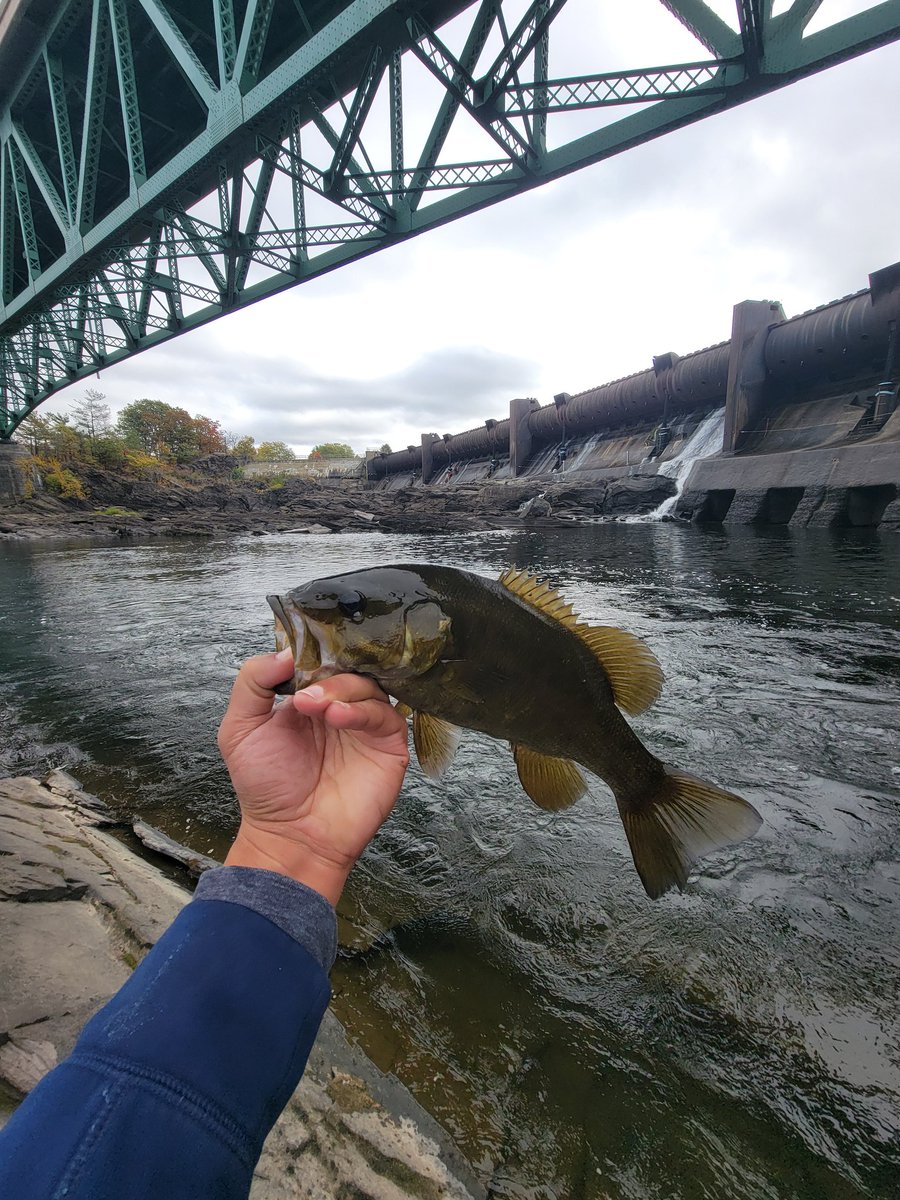 AdamArob's tweet image. 