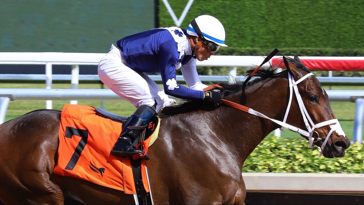 VictorEBarboza's tweet photo. Skellig Michael • Emisael Jaramillo • Víctor Barboza, Jr. #GulfstreamPark #SunshineMeet un honor, ser parte de la victoria 5000 de Emisael Jaramillo, en su dilatada y exitosa trayectoria. https://t.co/xd4FbTd9Su