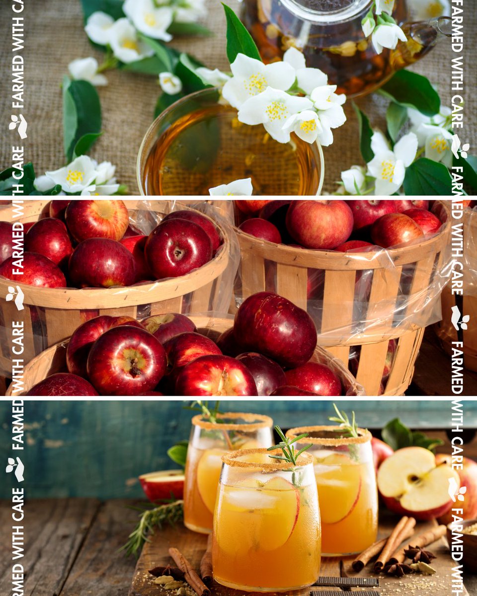 🍎🍵 What better way to #FallIntoTea and celebrate Canada’s harvest season than with apple cider made from freshly picked apples, infused with the floral notes of jasmine tea? Try our Jasmine Tea Hot Apple Cider... it’s autumn in a cup! 🍂 #FarmedWithCare f.mtr.cool/bdgiwugzoo