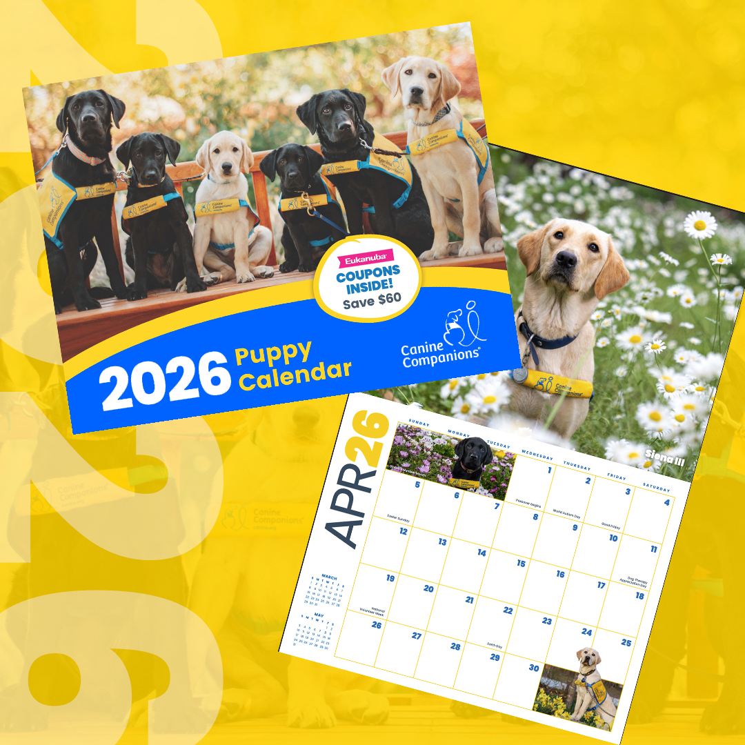 canineorg's tweet image. Get your 2026 Puppy #Calendar! 🐶📅 Your #donation of $25 gets you 12 months of puppies, PLUS $60 worth in savings off @Eukanuba products - all to help more puppies become #servicedogs!

🐾 Donate and order now: canine.org/calendar 

#puppy #donate #LeadWithIndependence