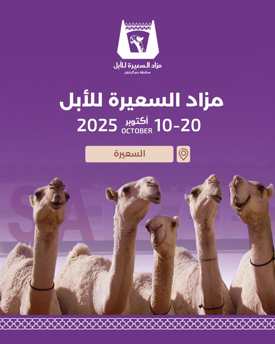 balfghm's tweet photo. #مزاد_السعيره_للابل https://t.co/ELFcDsjxAZ