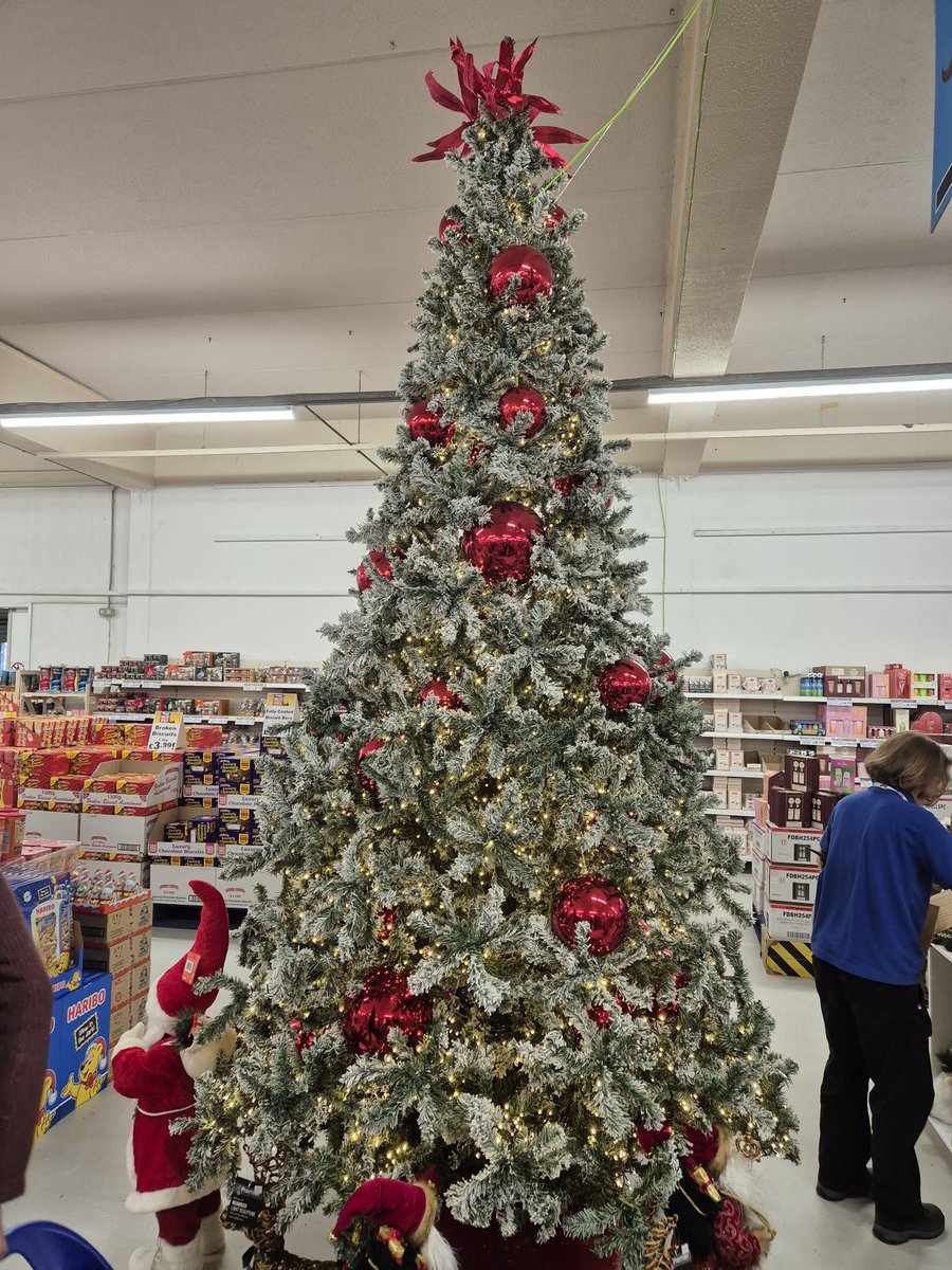 Found my tree! Just need a 12ft high lounge to put it in!