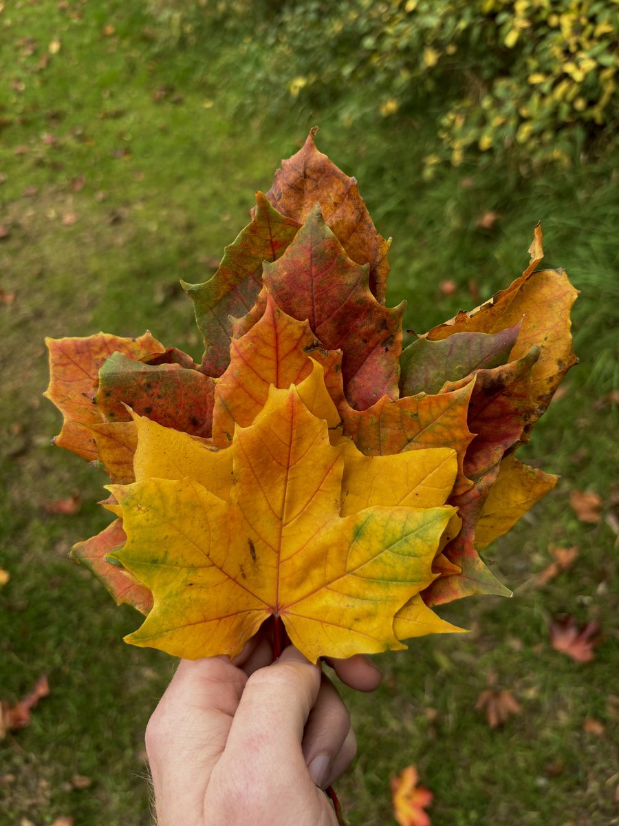 North York Moors Trust tweet media