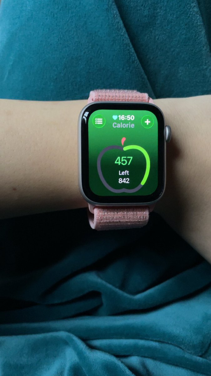 Fuck yeah I can track food on my Apple Watch