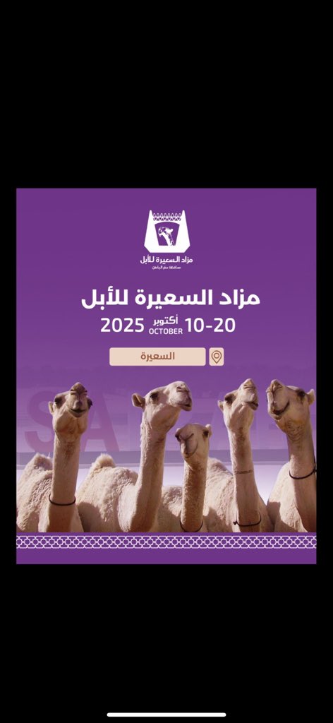 TFGOM's tweet photo. #مزاد_السعيره_للابل https://t.co/wlA4roVr1g