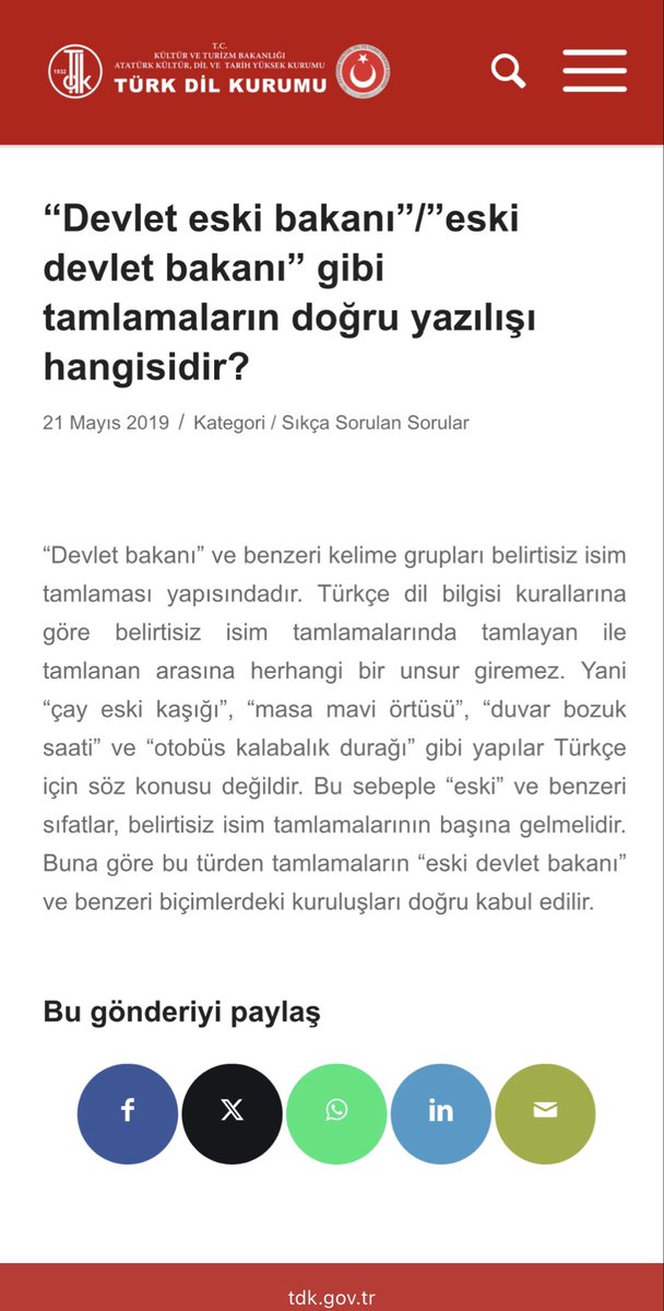 lauren tweet media